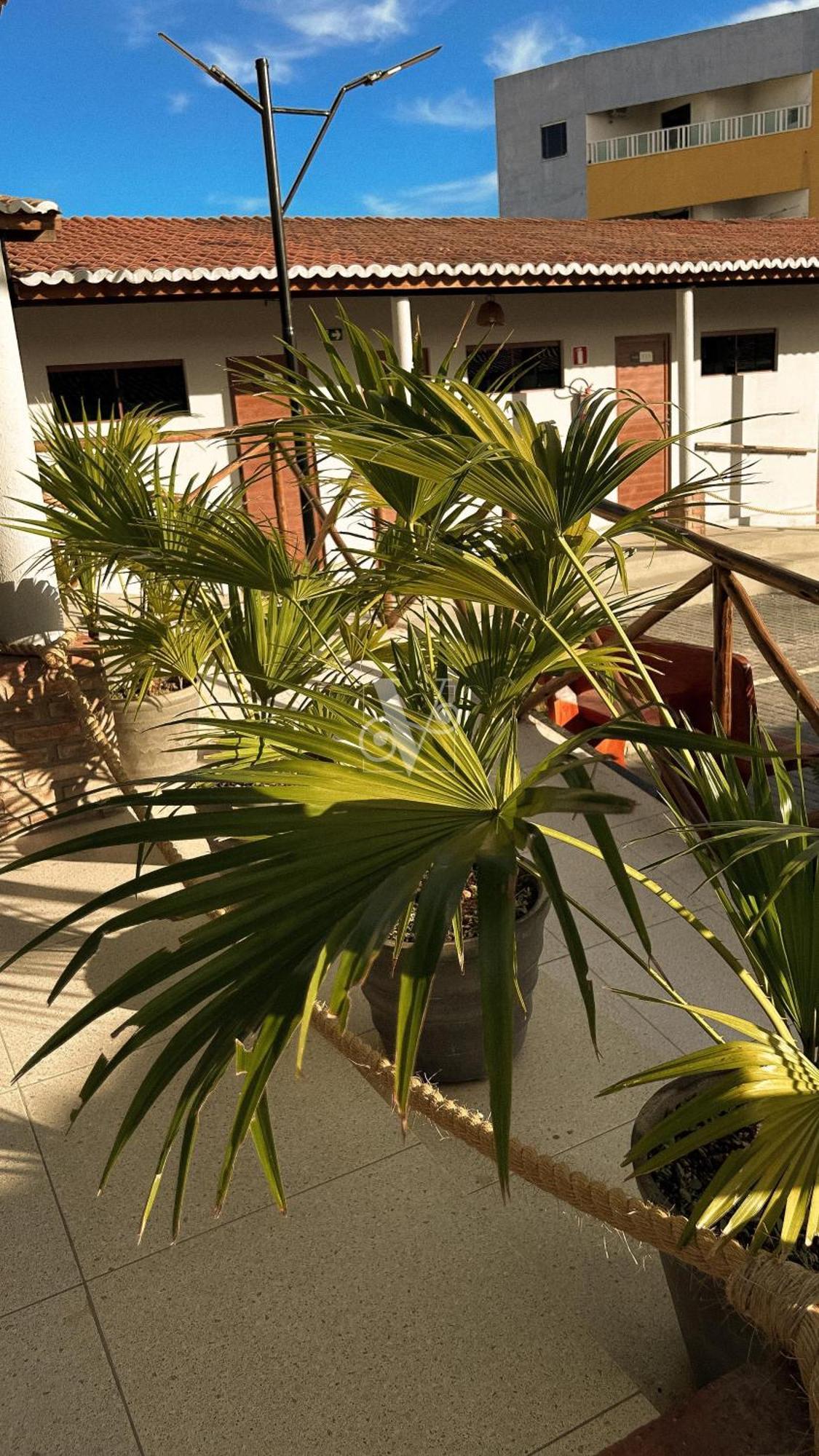 Village Comfort Hotel กานินเด เจ เซาฟรันซิสโก ภายนอก รูปภาพ